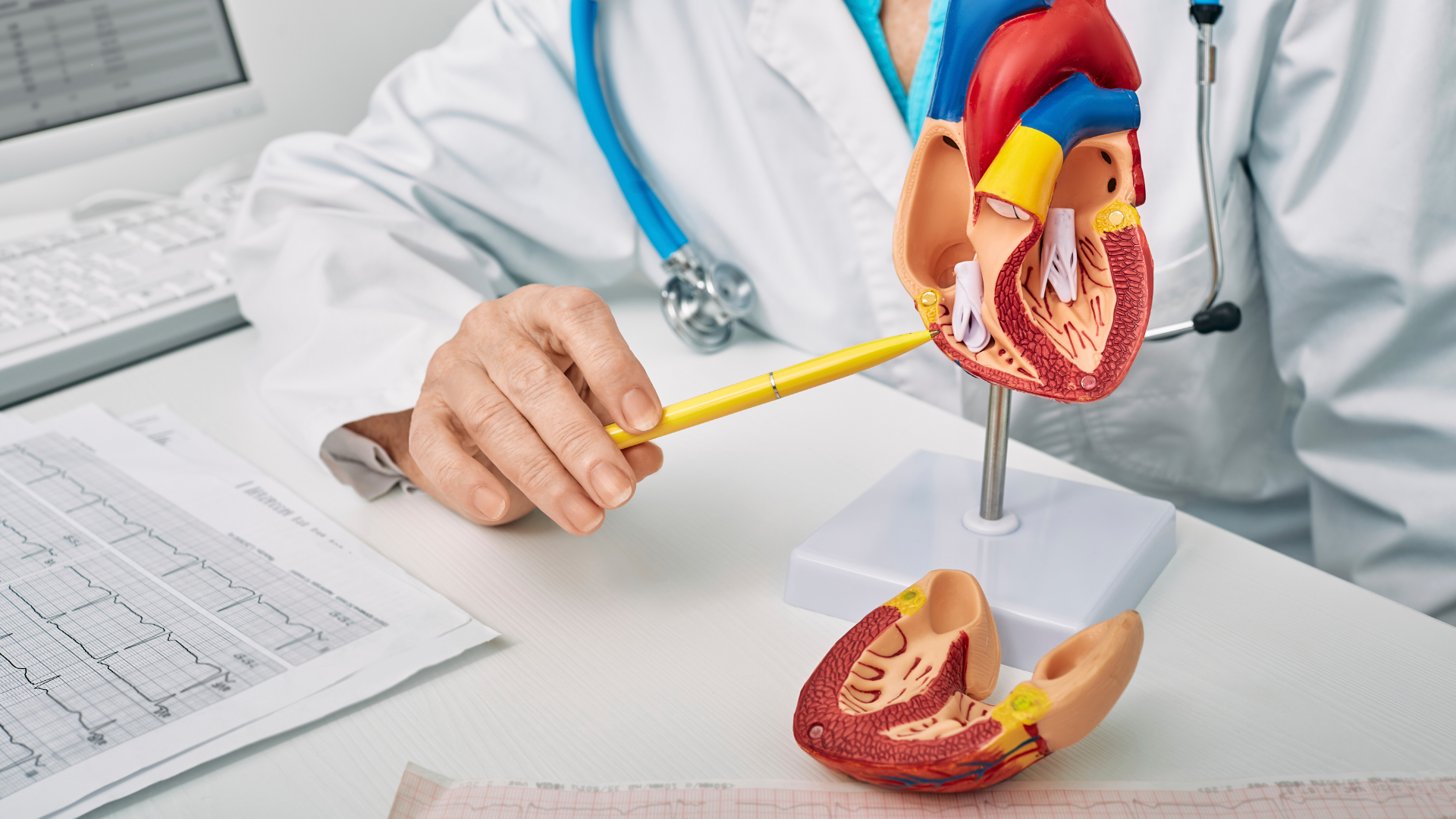 BATERÍA DE PREGUNTAS OFICIALES FEA CARDIOLOGÍA PARA LA PREPARACIÓN DE LA OPE CESM CANARIAS