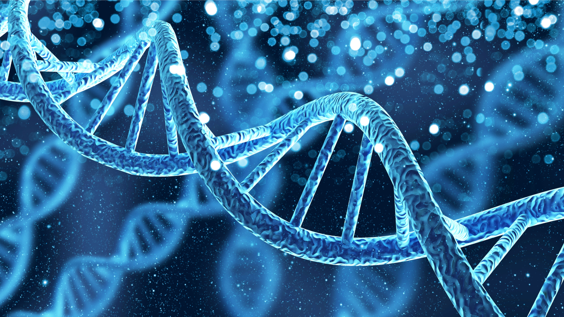 CURSO BIOÉTICA EN ATENCIÓN PRIMARIA Y URGENCIAS