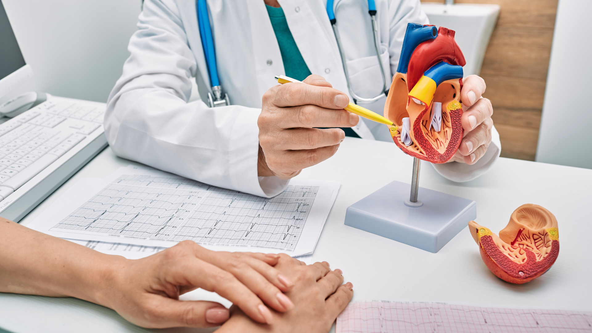 CURSO RIESGO CARDIOVASCULAR EN ATENCIÓN PRIMARIA Y URGENCIAS