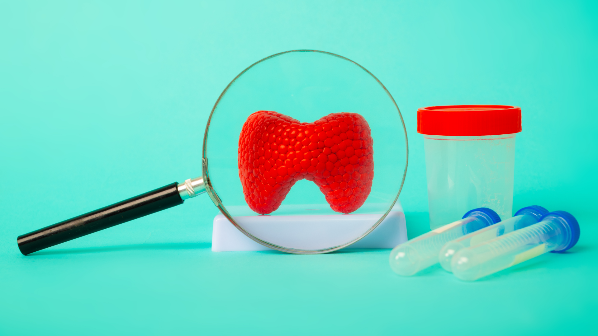 CURSO ACTUALIZACIÓN EN PROBLEMAS TIROIDEOS (III edición 2026)